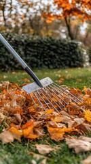 Bright orange leaves are gathered into a pile on the grass, with a rake nearby, capturing the essence of autumn days in the garden