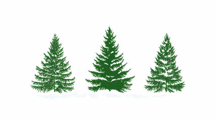 Fototapeta premium Winter forest silhouettes of fir trees and spruces with wood tree background.
