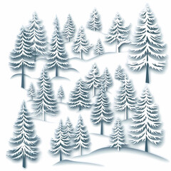 Obraz premium Winter forest silhouettes of fir trees and spruces with wood tree background.