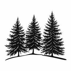 Obraz premium Winter forest silhouettes of fir trees and spruces with wood tree background.