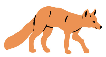 Cute Cartoon Hunting Fox Vector Illustration Isolated on White Background