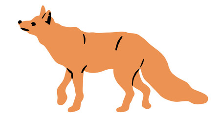Cute Walking Fox Vector Illustration Isolated on White Background