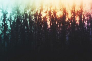 ハロウィンカラーデザインの背景