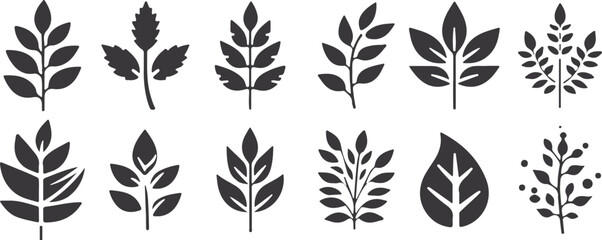 nature's flourish. eps