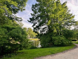 Beautiful view of park with pathway and trees outdoors