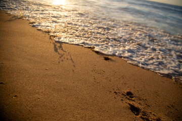 vina del mar, valparaiso, chile