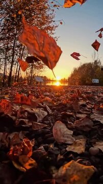 a vibrant autumn forest, filled with rich hues of red, orange and gold as the soft sunlight filters through the changing leaves. The leaves sway gently as a light wind blows through the trees.