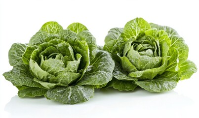 Obraz premium Green butterhead lettuce cabbage isolated on white background