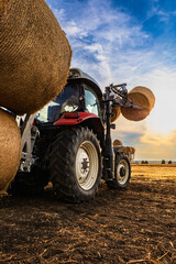 An agricultural tractor loader loads bales of hay on the field. Agricultural telescopic handler harvesting straw. © Vesela