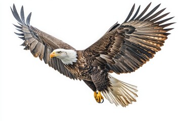 Naklejka premium The eagle is captured mid-flight, its wings fully extended and feathers detailed, showcasing its strength and beauty. This majestic bird represents freedom and power in natures realm.