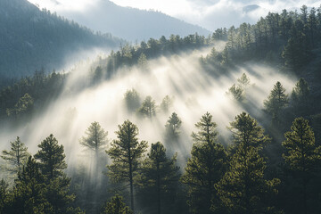 fog in the mountains