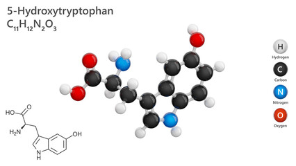 Molecule: 5-Hydroxytryptophan. Molecular structure. Formula: C11H12N2O3. Chemical model: Ball and stick. White background. 3D illustration.