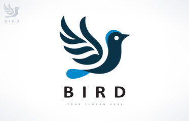 Bird logo vector. Bird in flight design