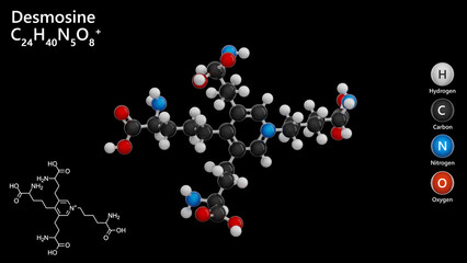 Desmosine. Molecular structure. Formula: C24H40N5O8. Chemical model: Ball and stick. Black background. 3D illustration.
