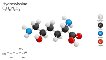 Molecule: Hydroxylysine. Molecular structure. Formula: C6H14N2O3. Chemical model: Ball and stick. White background. 3D illustration.