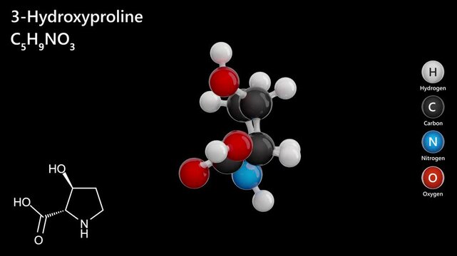3-Hydroxyproline. Animated 3D model of a molecule. Molecular formula: C5H9NO3. Chemical model: Ball and stick. black background. 3D rendering. Seamless loop