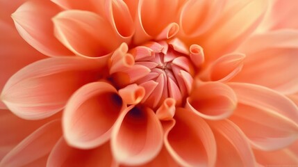 Fototapeta premium close-up of a beautiful flower in high definition, showcasing its intricate details and vibrant colors, creating a stunning wallpaper that celebrates nature's beauty