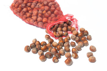 Hazelnut in shell from hazelnut forest