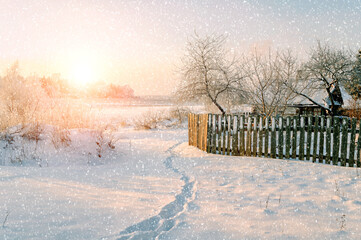 Naklejka premium Winter Christmas landscape in sunny weather, winter countryside with a field, snowy trees under snowfall