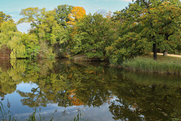 Teich im Palmengarten, Park, im Herbst, Leipzig, Sachsen, Deutschland