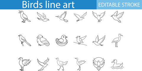 Birds Line Art Illustrations Set Editable Stroke