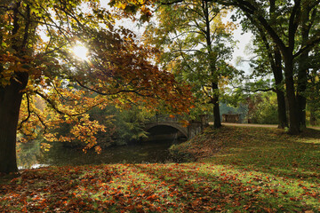 Teich im Palmengarten, Park, im Herbst, Leipzig, Sachsen, Deutschland