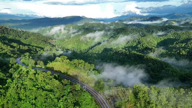 Aerial drone shot over primary Jungle tropical rain forest in Nan, Thailand. Aerial view, moving over a rainforest tree canopy in a slow pace beautiful green nature background of a tropical forest.