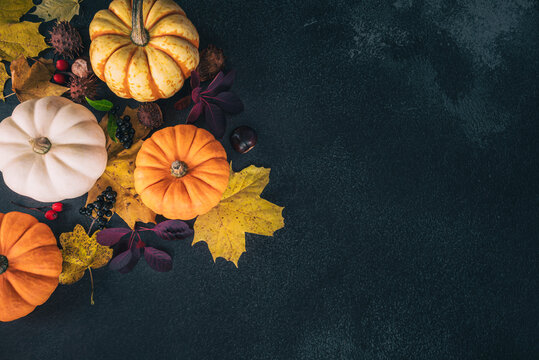 Capture the essence of autumn with this atmospheric image that elegantly combines vibrant pumpkins and colorful autumn leaves against a deep, dark background, perfect for your text or message. 