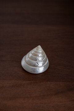 Shell