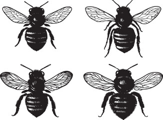 Fototapeta premium A set of bees. Hand drawn vector illustration 