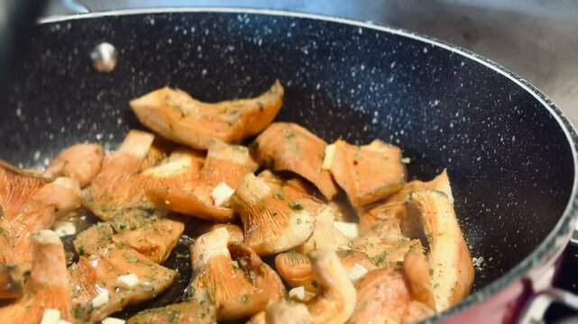 Cooking niscalos mushroom. Lactarius deliciosus.
