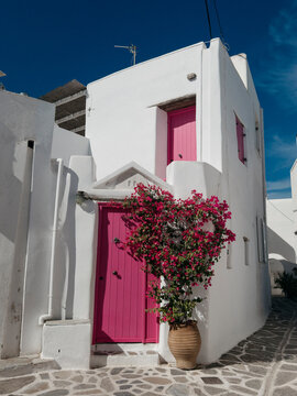 White House with a Pink Door
