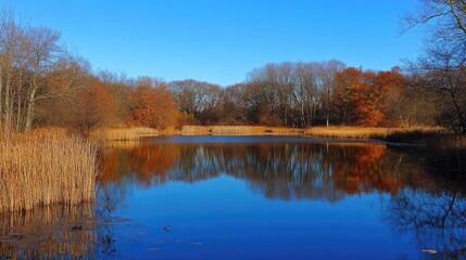Fototapeta premium Tranquil Autumn Reflections on Serene Lake Surface