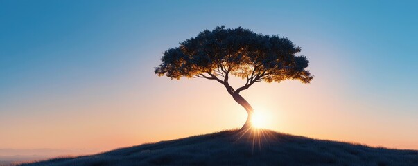 Lonely tree standing on a hill during a vibrant sunset with a clear blue sky.