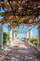 Tranquil terrace overlooking the Amalfi Coast adorned with blooming bougainvillea