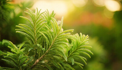 Fototapeta premium botanical retro vintage 