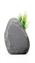 A smooth gray stone with a tuft of green grass, perfect for natural decor and landscaping inspiration.