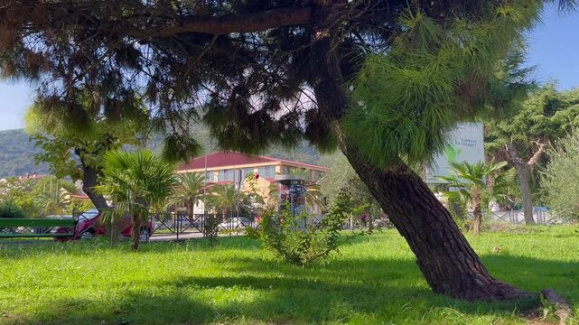 Scenic view of the intersection of Popa Jola Zeca Street and Filipa Kovačevića Street in Budva, Montenegro, framed by lush greenery and trees, October setting