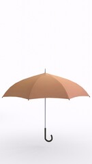 umbrella with white background