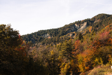 Noble Contrée, forêt, montagne et falaise