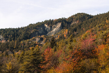 Noble Contrée, forêt, montagne et falaise
