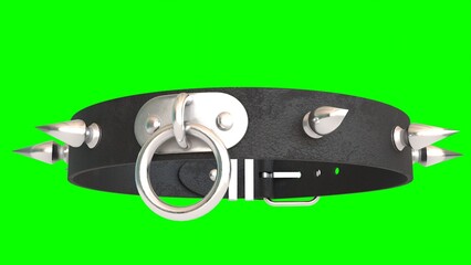 Obraz premium dog leather collar with green background