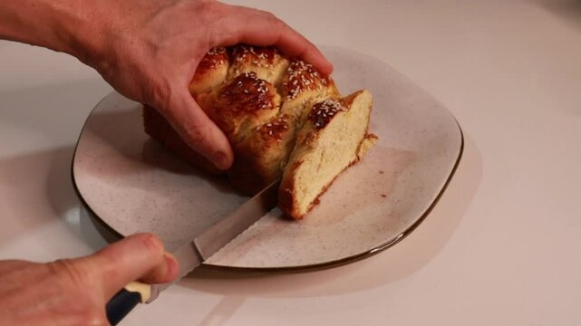 p&atilde;o integral 