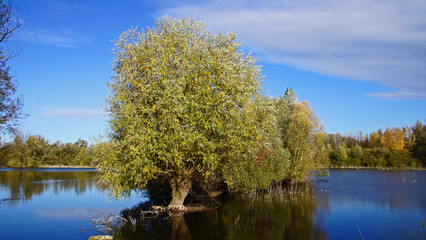 Tongruben Heppenheim/Bensheim