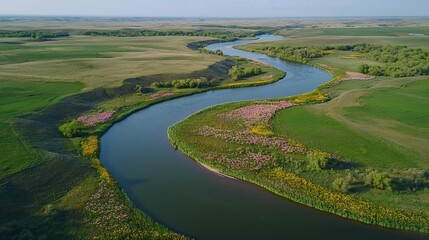 Aerial View of a River in Blooming Prairie Landscape with Wildflowers