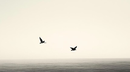 Fototapeta premium A lone bird flying across a clear, pale sky