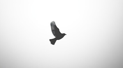 Fototapeta premium A lone bird flying across a clear, pale sky