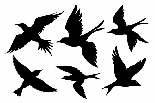 Flock of flying birds silhouette vector, Flying bird black silhouette vector set