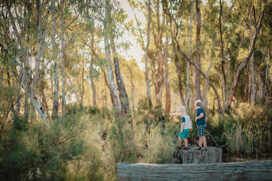 Two little boys standing on tree stump beside creek in the Australian bush