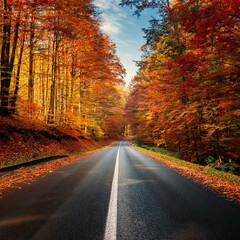 Obraz premium autumn forest road with colorful trees and leaves lining the route